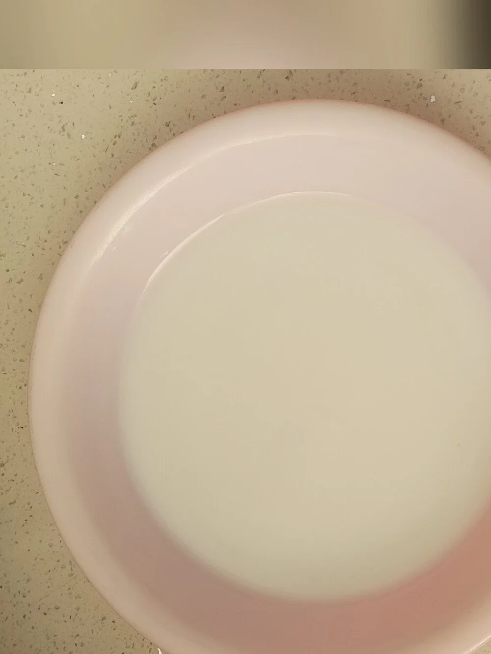 ✨️🦩 Vintage 50s PYREX Flamingo Pink 209 Pie Plate